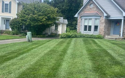 Photo of Jessica S.'s yard after getting lawn care in Taylorsville, KY