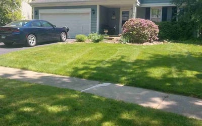 Photo of Dave W.'s yard after getting lawn care in Crystal Lake, IL
