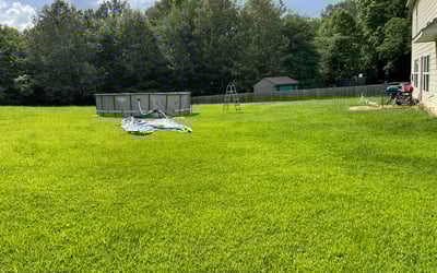 Photo of Aremo A.'s yard after getting tree care in Shelton, CT