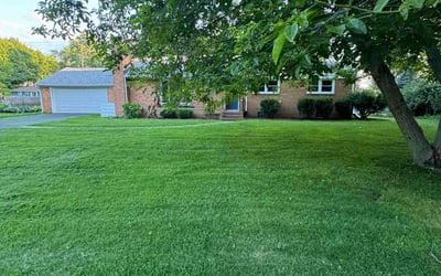 Photo of Dominicue W.'s yard after getting lawn care in White Lake, MI