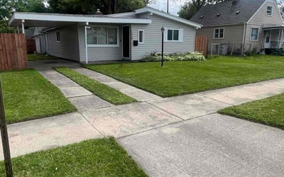 Photo of Dan D.'s yard after getting lawn care in Hazel Park, MI