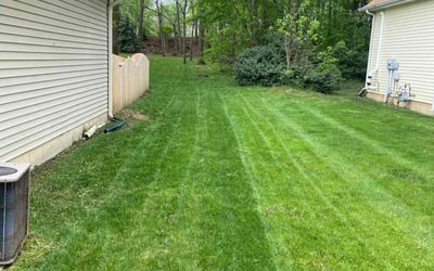 Photo of Lenny V.'s yard after getting lawn care in Valparaiso, IN