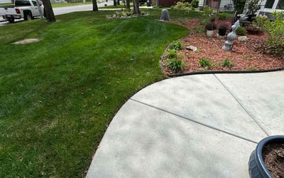 Photo of Barbara M.'s yard after getting lawn care in Wichita, KS