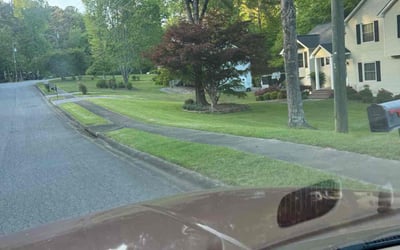 Photo of Arthur W.'s yard after getting lawn care in Woodstock, GA