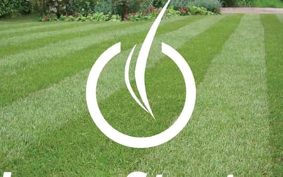 Photo of Monica G.'s yard after getting lawn care in Atlanta, GA