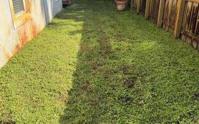 Photo of Matt M.'s yard after getting lawn care in Owasso, OK