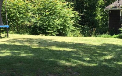 Photo of Aijana W.'s yard after getting lawn care in Wappingers Falls, NY