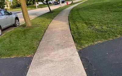 Photo of Allison T.'s yard after getting lawn care in Joliet, IL