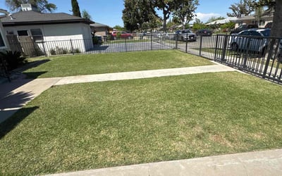 Photo of Karl J.'s yard after getting lawn care in Kingsburg, CA