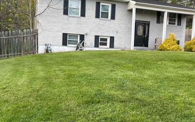 Photo of Josephine H.'s yard after getting lawn care in Cockeysville, MD