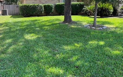 Photo of Neal W.'s yard after getting lawn care in Webster, TX