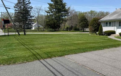Photo of Joi B.'s yard after getting lawn care in Raynham, MA