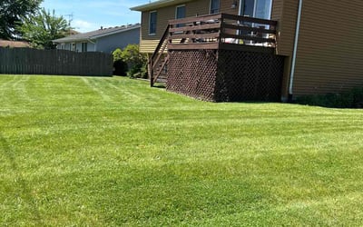 Photo of Mike B.'s yard after getting lawn care in Crown Point, IN