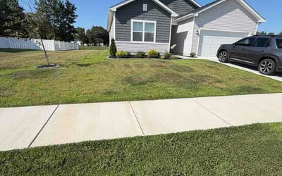Photo of Jaqaseia S.'s yard after getting lawn care in Locust Grove, GA