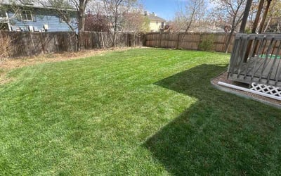 Photo of Arron K.'s yard after getting lawn care in Evergreen, CO