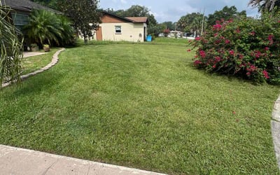 Photo of Nong Y.'s yard after getting lawn care in Longwood, FL