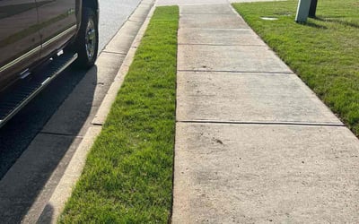 Photo of Jason L.'s yard after getting lawn care in Ringgold, GA