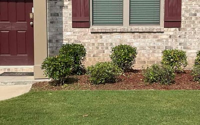 Photo of Kyle B.'s yard after getting lawn care in Brea, CA