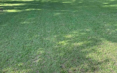 Photo of Eric B.'s yard after getting lawn care in Sparta, NJ
