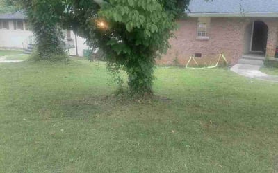 Photo of Karen A.'s yard after getting lawn care in Englewood, CO