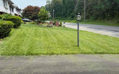 Photo of Michael S.'s yard after getting lawn care in Bloomingdale, IL