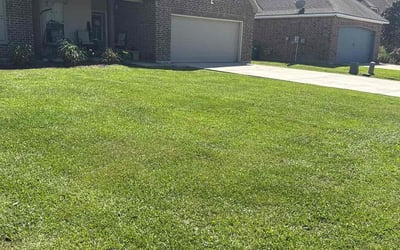 Photo of Yasmine A.'s yard after getting lawn care in Youngsville, LA