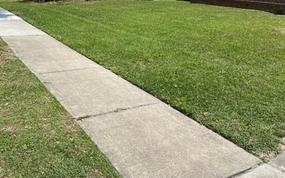 Photo of Pamela L.'s yard after getting lawn care in Altamonte Springs, FL