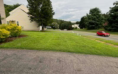 Photo of Kenneth C.'s yard after getting lawn care in South Riding, VA