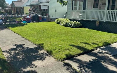 Photo of Jonnah C.'s yard after getting lawn care in Niagara Falls, NY