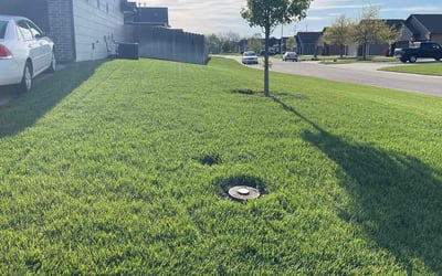 Photo of Calli T.'s yard after getting lawn care in Augusta, KS