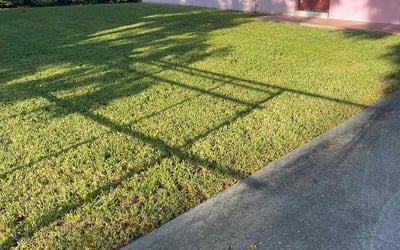 Photo of Miguel P.'s yard after getting lawn care in Miami, FL