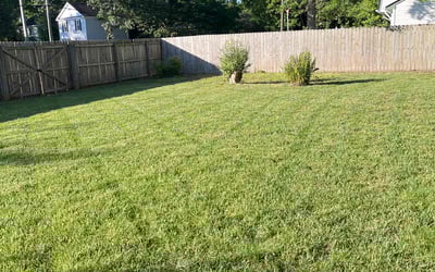 Photo of Briana D.'s yard after getting lawn care in Bristol, VA