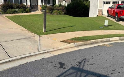 Photo of Nikki-Lee P.'s yard after getting lawn care in Nolensville, TN