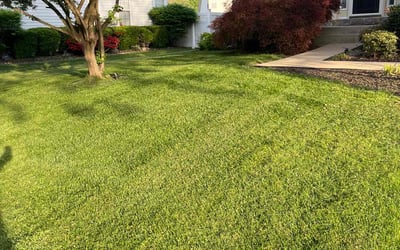 Photo of Rebecca B.'s yard after getting lawn care in Waldorf, MD
