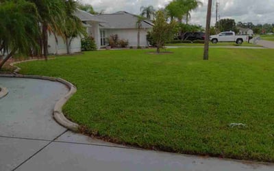 Photo of Ky R.'s yard after getting lawn care in Punta Gorda, FL
