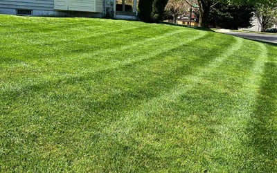 Photo of Umi T.'s yard after getting lawn care in Olney, MD