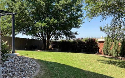 Photo of Denise M.'s yard after getting lawn care in Schertz, TX