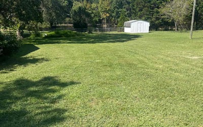 Photo of Joye B.'s yard after getting lawn care in Wendell, NC