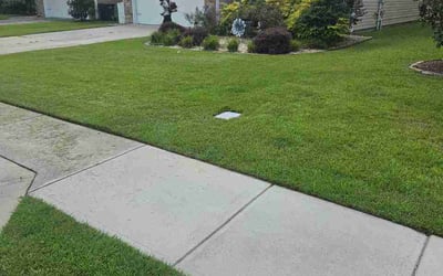 Photo of Scott K.'s yard after getting lawn care in Purcellville, VA