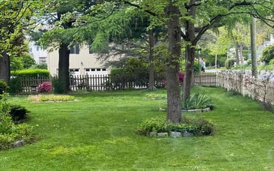 Photo of Mike S.'s yard after getting lawn care in Fairfield, CT