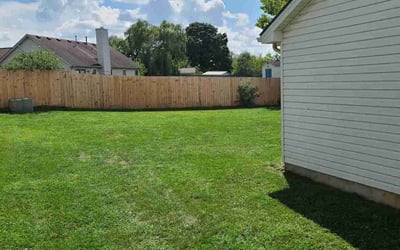 Photo of Trina D.'s yard after getting lawn care in Georgetown, KY