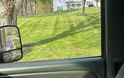Photo of Edda R.'s yard after getting lawn care in Bridgewater, NJ