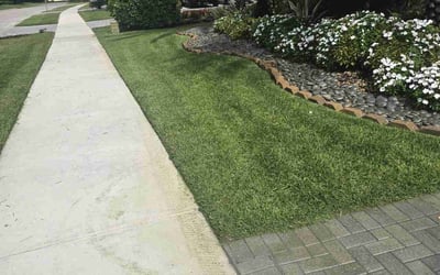 Photo of Megan H.'s yard after getting lawn care in League City, TX