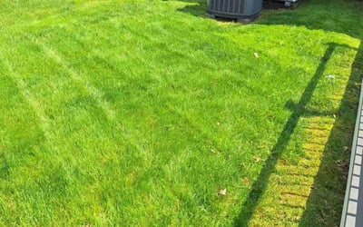 Photo of Steve C.'s yard after getting lawn care in Schwenksville, PA