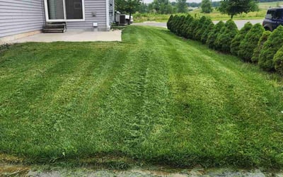 Photo of Christie A.'s yard after getting lawn care in River Falls, WI