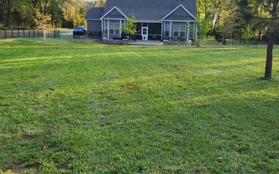Photo of Gaby S.'s yard after getting lawn care in Clover, SC