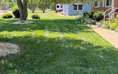 Photo of Elizabeth R.'s yard after getting lawn care in Windsor, VA