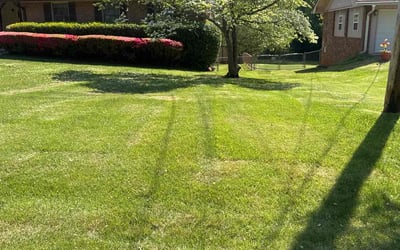 Photo of Stevie G.'s yard after getting lawn care in Marietta, GA