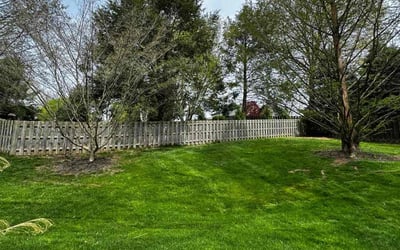 Photo of Mary Lou O.'s yard after getting lawn care in Wexford, PA