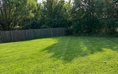 Photo of Etta K.'s yard after getting lawn care in Higginsville, MO